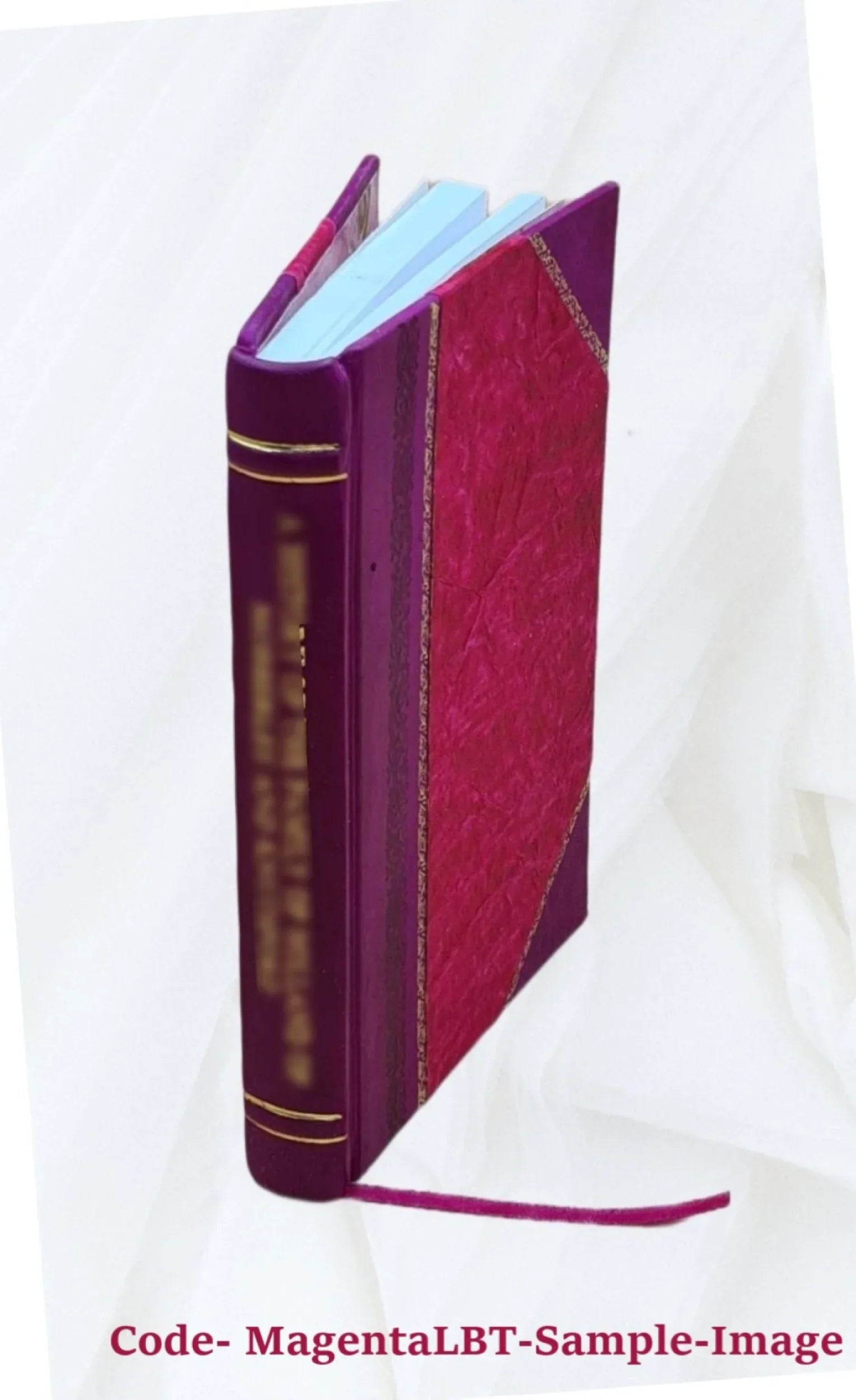 Safety clauses on collective bargaining agreements in the federal service resulting from executive order 10988, "Employee-management cooperation in the federal service." 1970 [Leat