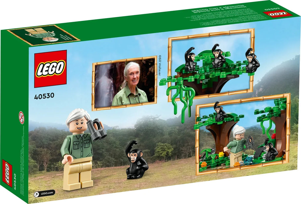 LEGO Jane Goodall Tribute 40530