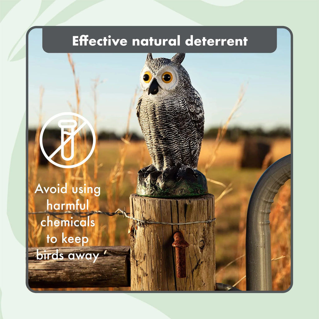 Scarecrow Fake Owl Decoys - Pest Repellent Garden Protectors - (small) (set of 3)