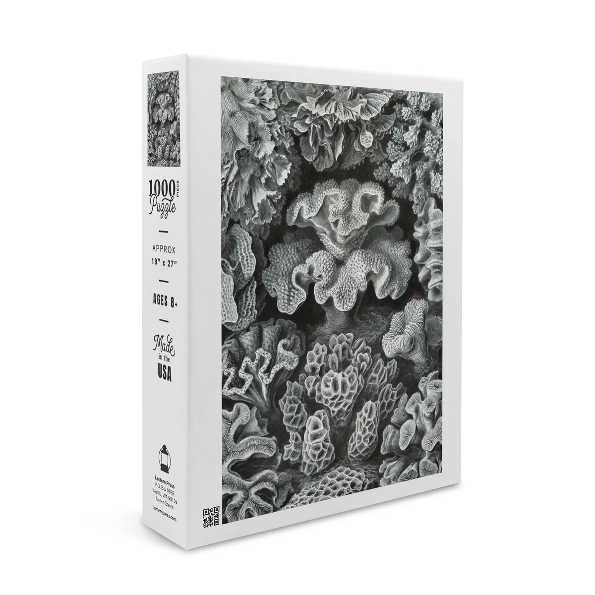 Ernst Haeckel, Hexacoralla (1000 Piece Puzzle, Size 19x27, Challenging Jigsaw Puzzle for Adults and Family, Made in USA)