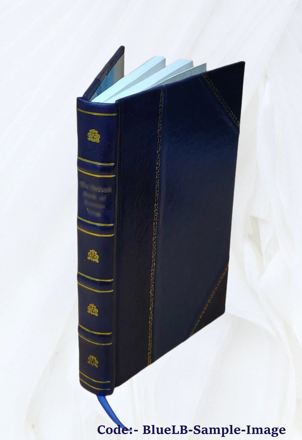 Scorpion A Good Bad Horse 1916 [Leather Bound]