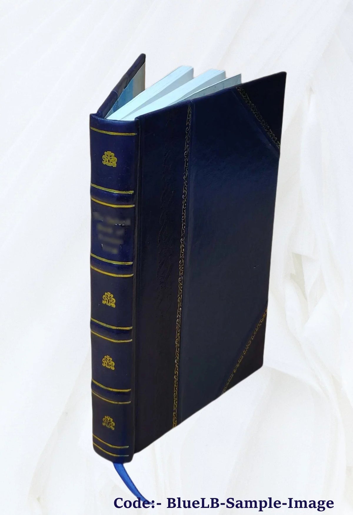 Scorpion A Good Bad Horse 1916 [Leather Bound]