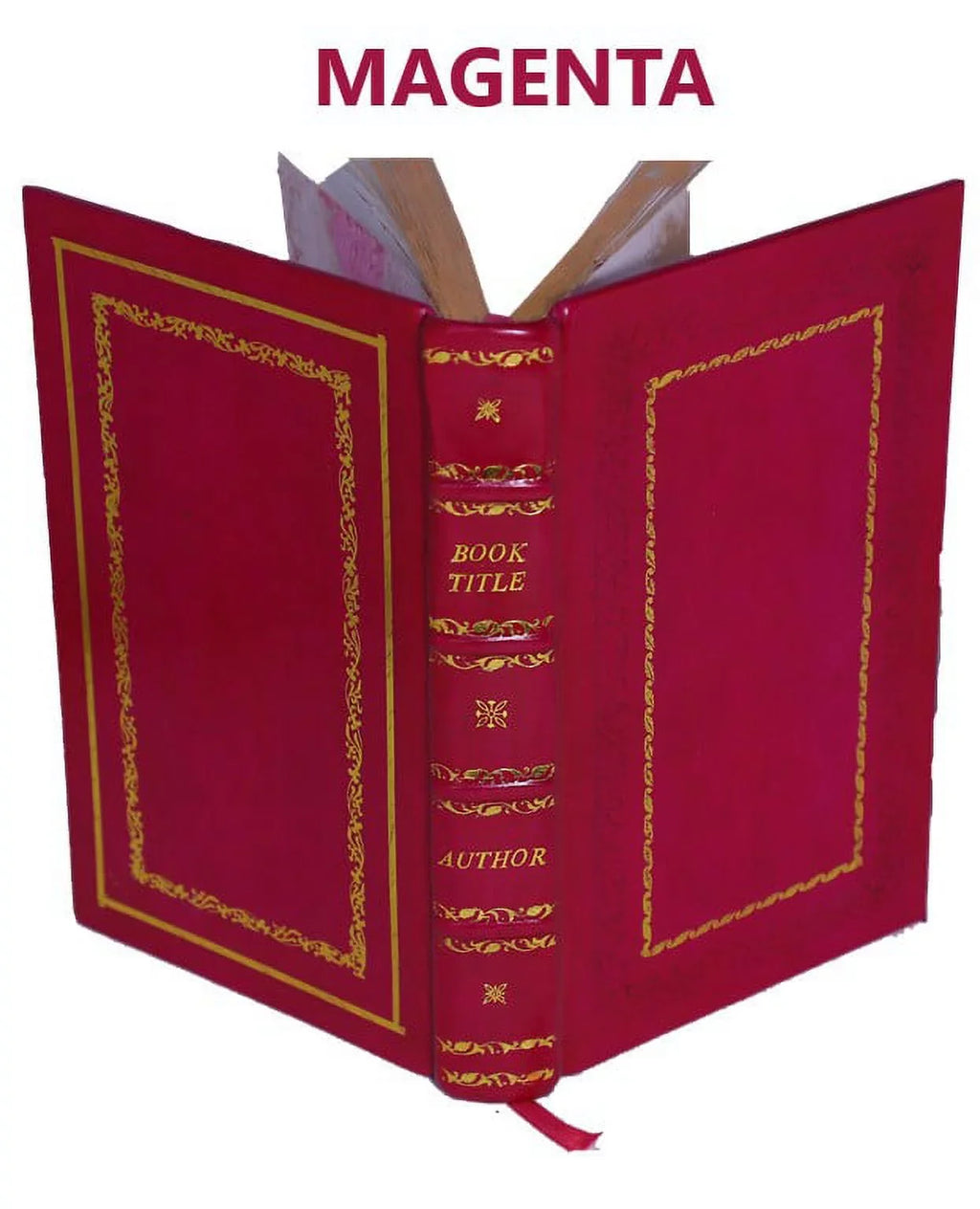 Concerning the bi-literal cypher of Francis Bacon, discovered in his works. Pros and cons of the controversy 1899 [Premium Leather Bound]