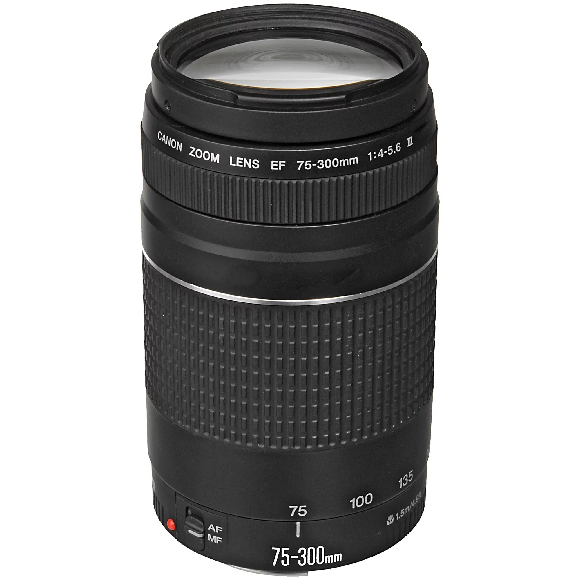 EOS R6 Mirrorless Digital Camera with RF 24-105mm STM + 75-300mm Lens + Mount Adapter + 2 Pack SanDisk 32GB + ZeeTech Accessory