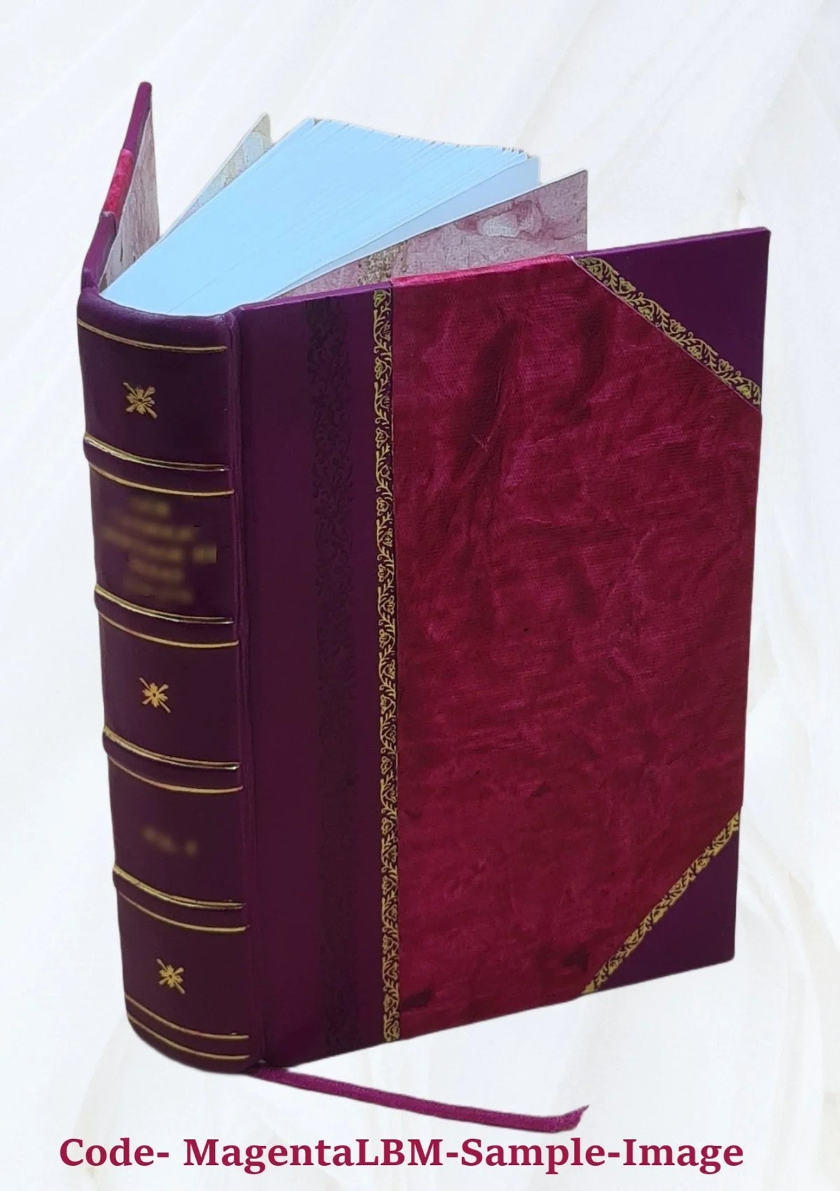 Apparatus biblicus, sive Manuductio ad Sacram Scripturam, tum clariùs, tum faciliùs Processor Auctore r.p. Bernardo Lamy, .. 1723 [Leather Bound]