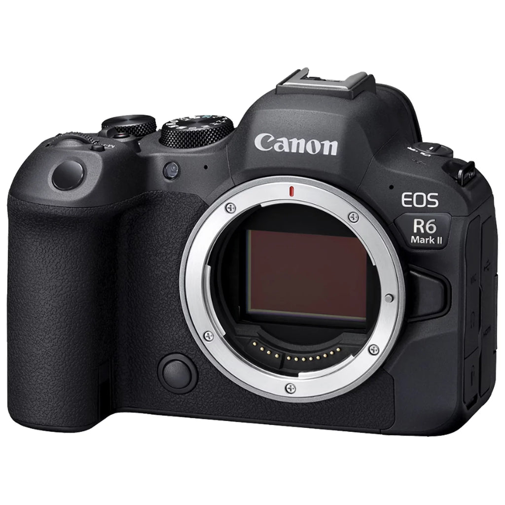 EOS R6 Mark II Mirrorless Camera with RF 24-105mm Lens + EF 75-300mm + SanDisk 128GB Memory Card + Case + LED Flash+ ZeeTech Accessory Bundle