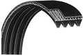 StairMaster Jason Flexonic Motor Drive Belt 6PJ1108 13048 Works Commercial Upright Stepper