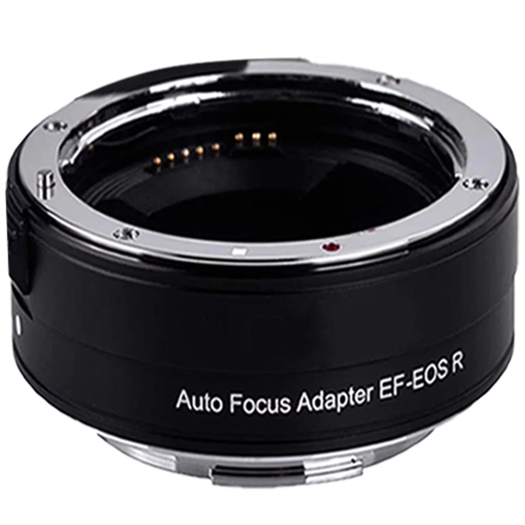 EOS R6 Mirrorless Digital Camera with RF 24-105mm STM + 75-300mm Lens + Mount Adapter + 2 Pack SanDisk 32GB + ZeeTech Accessory