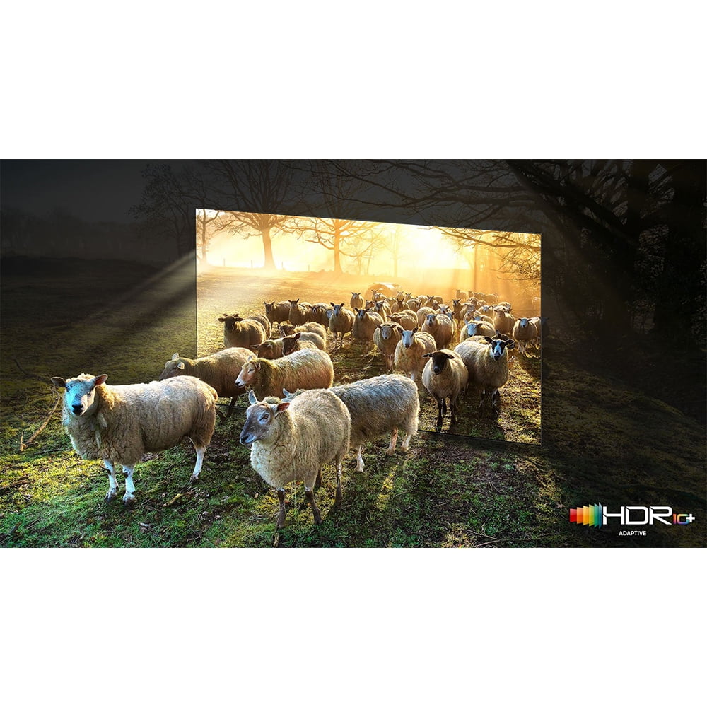 Restored QN75QN900A 75 Inch Neo QLED 8K Smart TV (2021) Bundle with 2 Year Premium Extended Protection Plan (Refurbished)