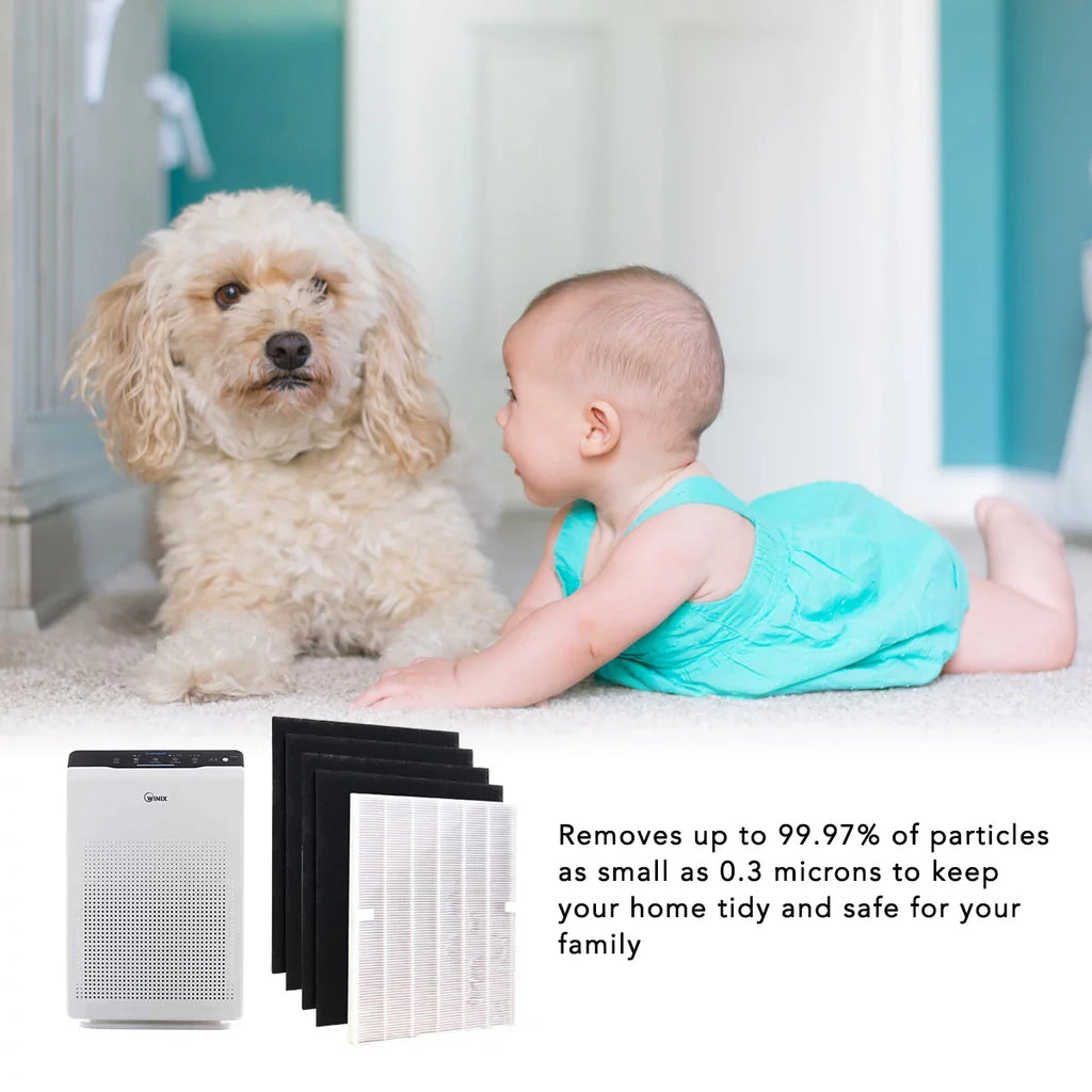 HEPA Filter for Winix 115115 Replacement Filter A for C535, 5300-2, 6300-2,P300, 5300 and 5500 (2 Set)