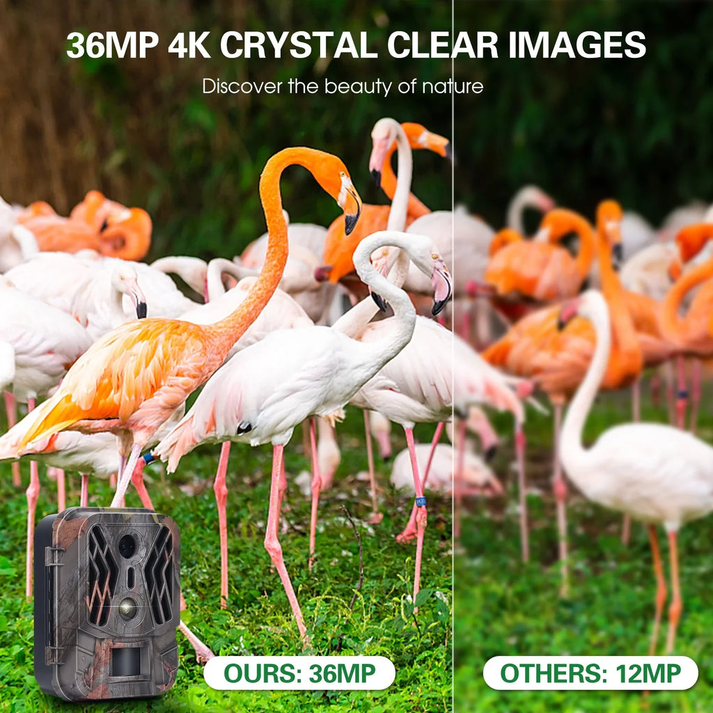 Pristin Camcorder,Farm Security Camera No Vision Camera Lens Camera 36MP Dual Lens Camera Motion Camera 36MP 4K Motion Mode ICHU 36MP Camera 1080P Camera 1080P Motion Camera 2.4" TFT Cousopo