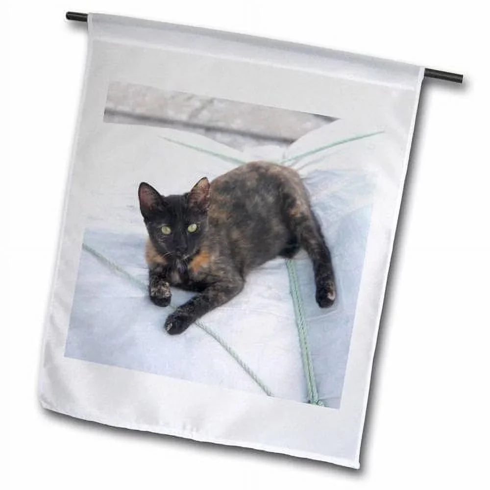 3dRose Greece, Paros, Naoussa, Cat on Boat Sails - Jaynes Gallery Polyester 1'6'' x 1' Garden Flag