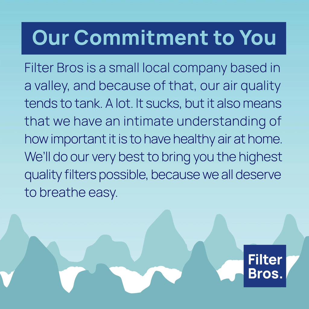 Filter Bros HEPA Filter B Replacement Compatible With GermGuardian FLT48252PK - AC4825, AC4870, AC4825DLX, Home Air Cleaner Guardian Purifiers with Technologies, AC4900CA, CDAP4500BCA, and CDAP4500WCA