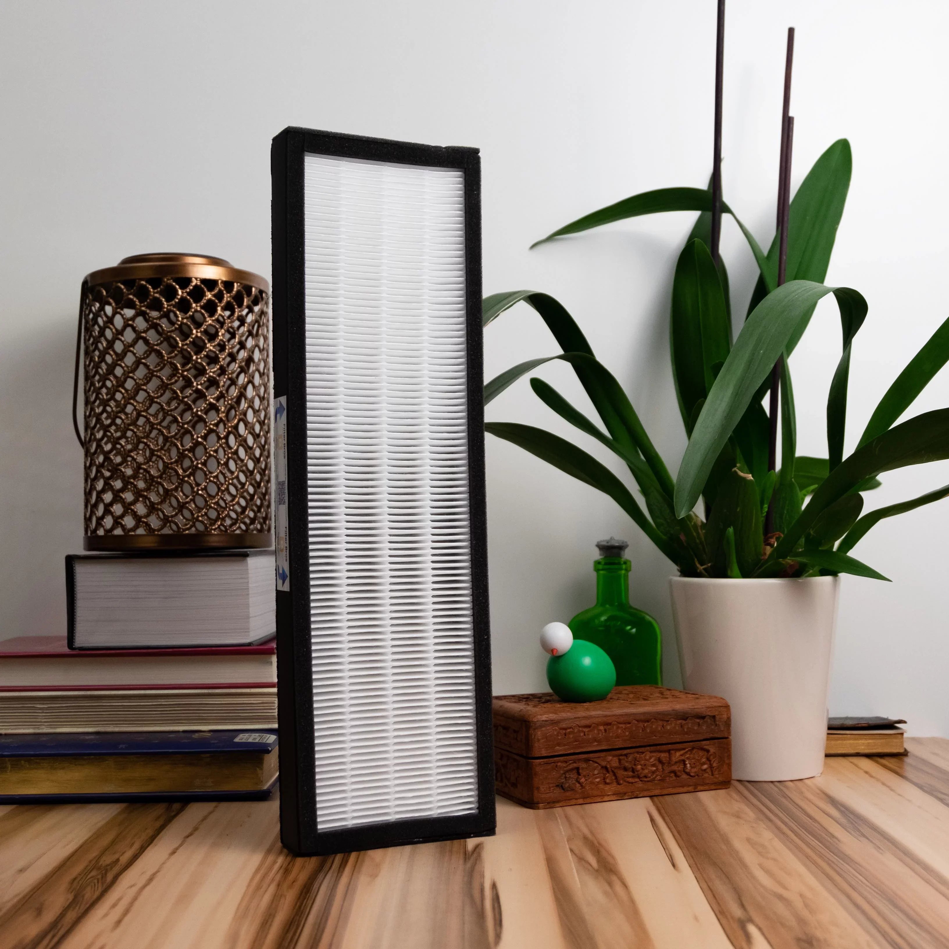 Filter Bros HEPA Filter B Replacement Compatible With GermGuardian FLT48252PK - AC4825, AC4870, AC4825DLX, Home Air Cleaner Guardian Purifiers with Technologies, AC4900CA, CDAP4500BCA, and CDAP4500WCA