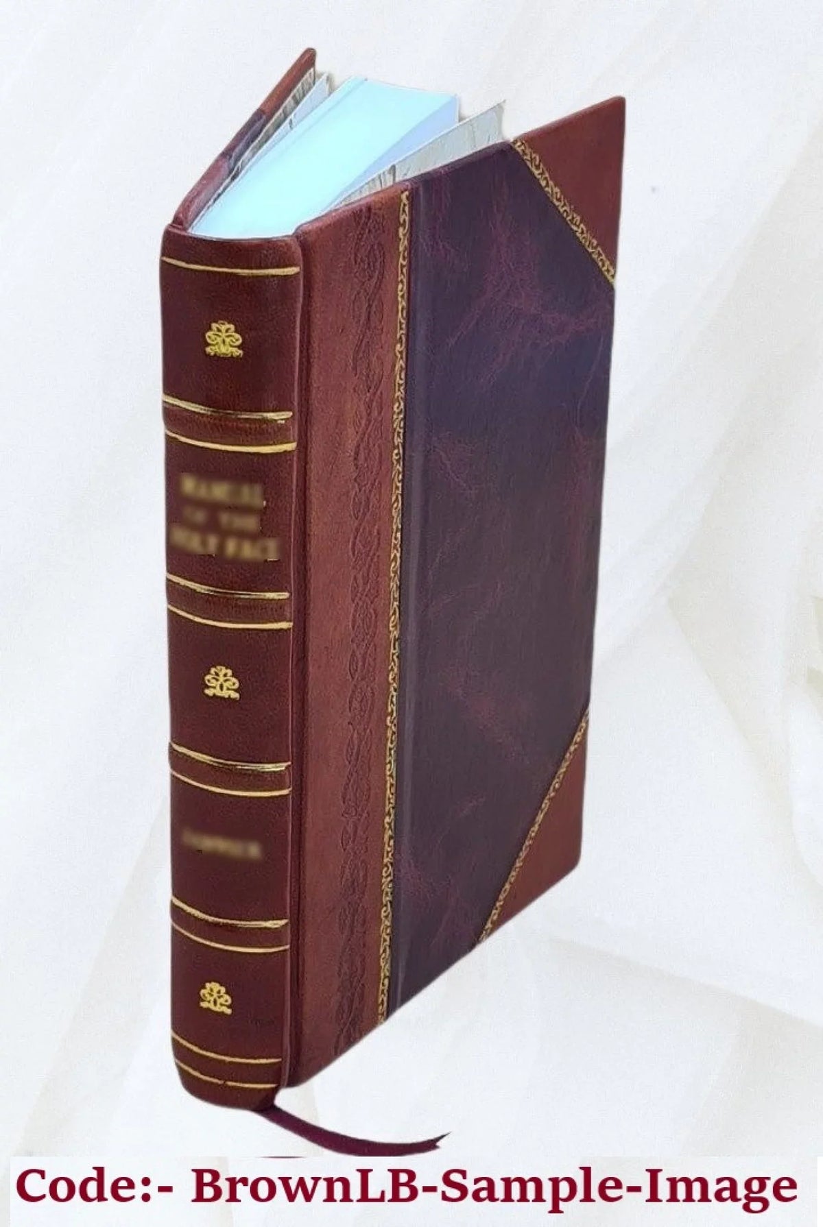 M. Tullii Ciceronis Brutus de claris oratoribus 1889 [Leather Bound]