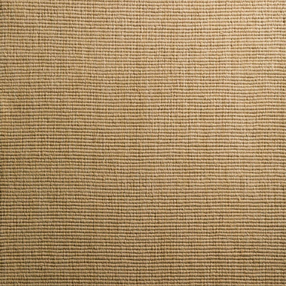 Daylon Sisal MC100 2'X3' Rug MC100HO2X3
