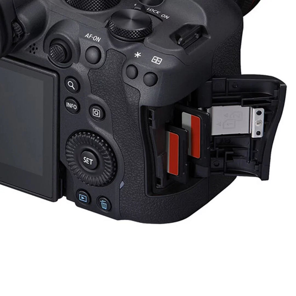 EOS R6 Mark II Mirrorless Camera with RF 24-105mm Lens + EF 75-300mm + SanDisk 128GB Memory Card + Case + LED Flash+ ZeeTech Accessory Bundle