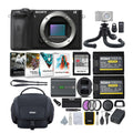 Alpha a6600 APS-C Mirrorless Camera (Body Only) with Accessories Bundle