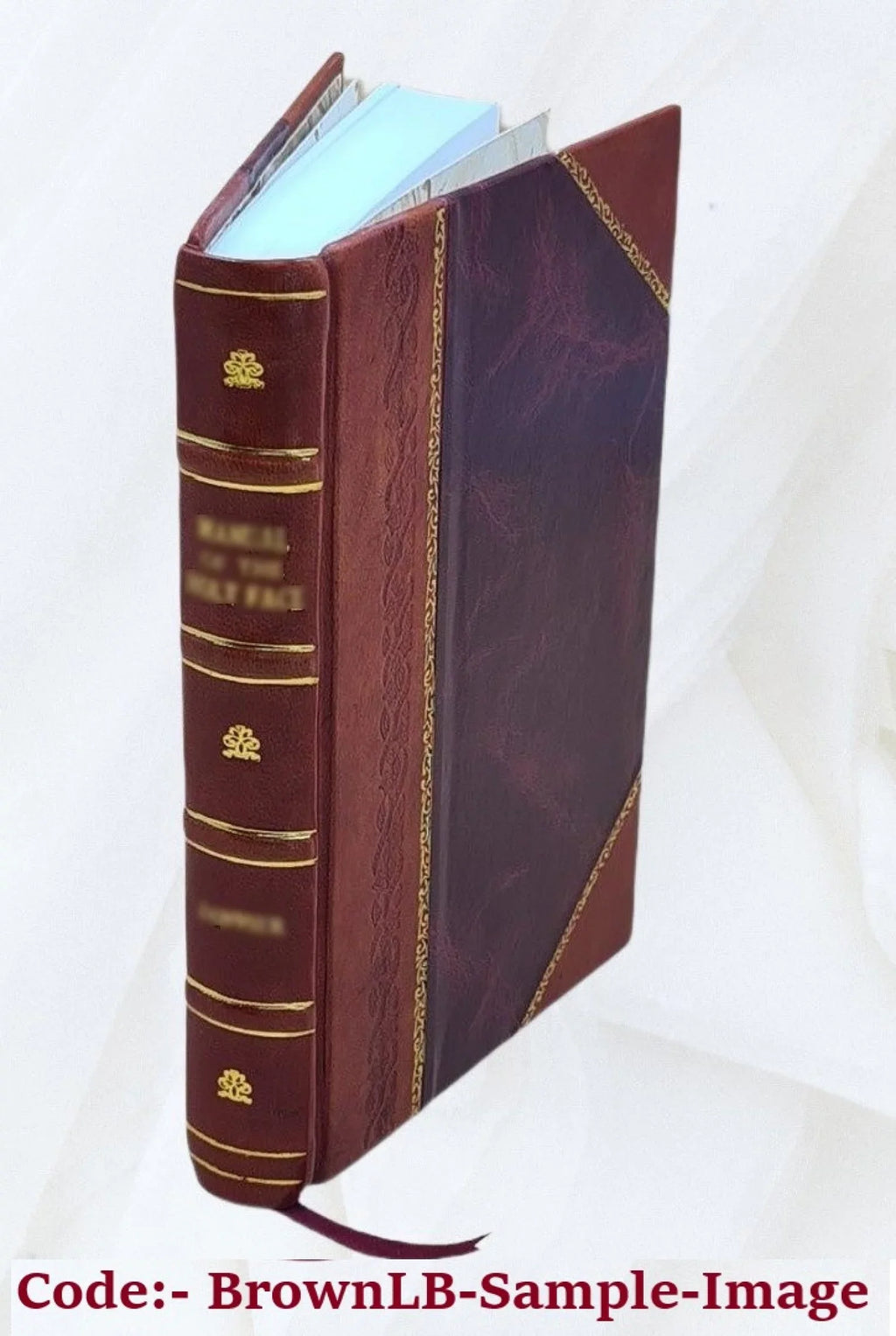 Sok pyongjang tosol 1750 [Leather Bound]