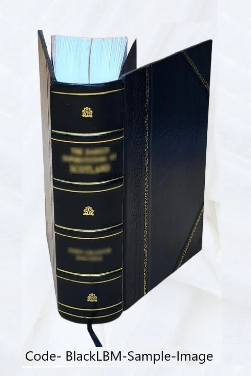 Speculum peregrinarum quaestionum, fr. Bartholomaei Sybillae Monopolitani, ... In quo, de animabus, de coelo, inferno, purgatorio de angelis bonis, ac malis, deque hominibus, necno