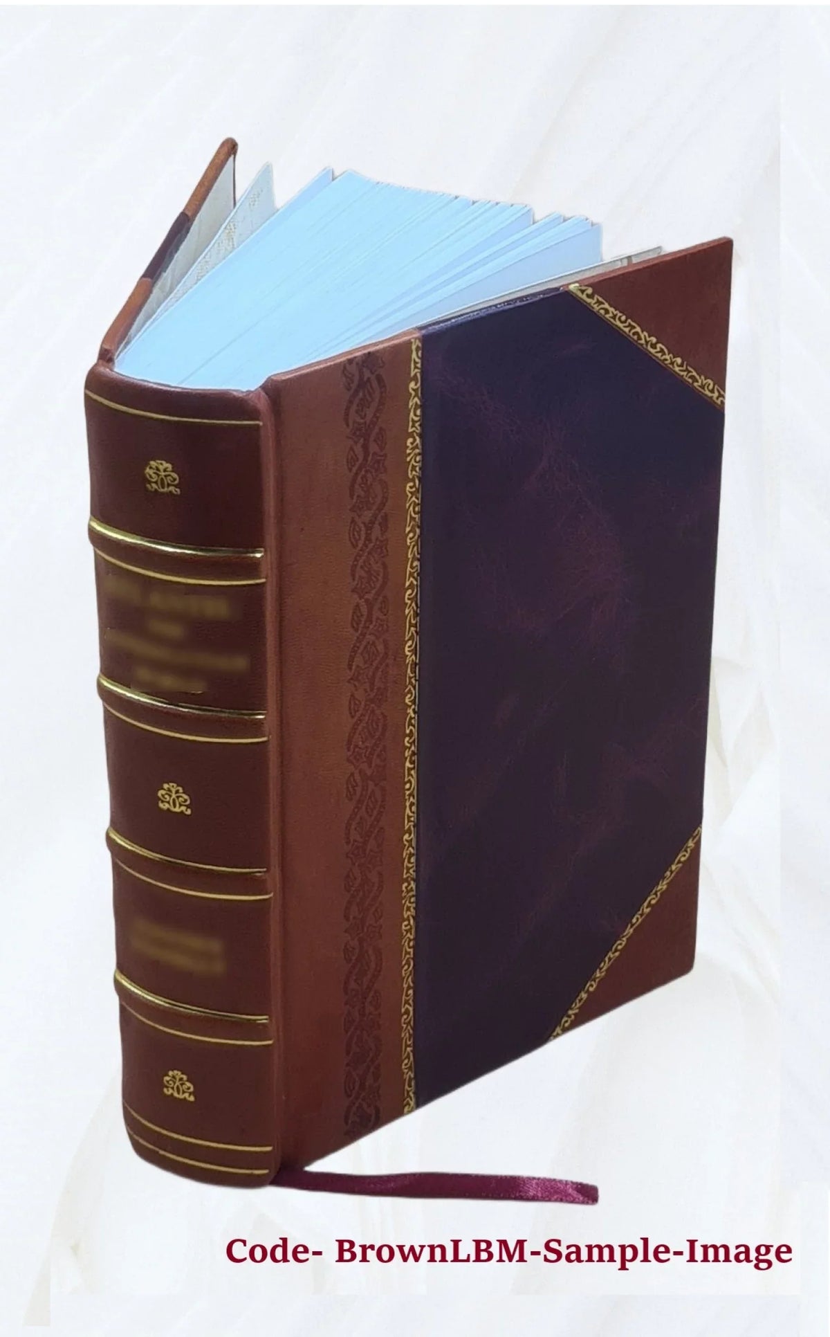 Apparatus biblicus, sive Manuductio ad Sacram Scripturam, tum clariùs, tum faciliùs Processor Auctore r.p. Bernardo Lamy, .. 1723 [Leather Bound]