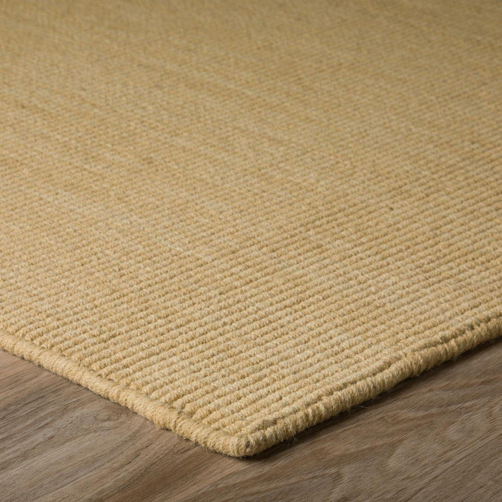 Daylon Sisal MC100 2'X3' Rug MC100HO2X3