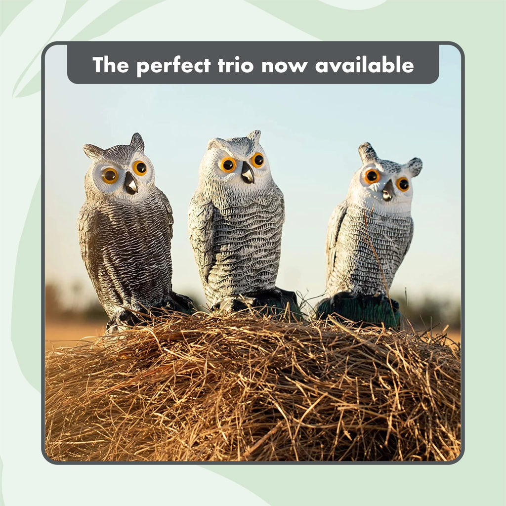 Scarecrow Fake Owl Decoys - Pest Repellent Garden Protectors - (small) (set of 3)