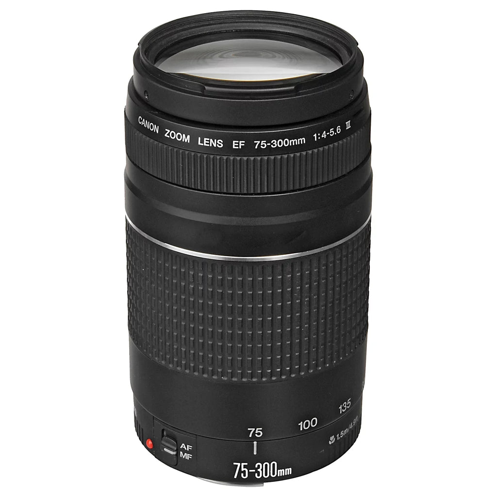 EOS R6 Mark II Mirrorless Camera with RF 24-105mm Lens + EF 75-300mm + SanDisk 128GB Memory Card + Case + LED Flash+ ZeeTech Accessory Bundle